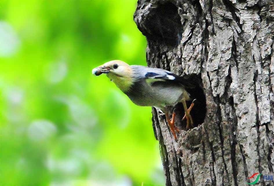 ��Ƭ 4339_����.jpg