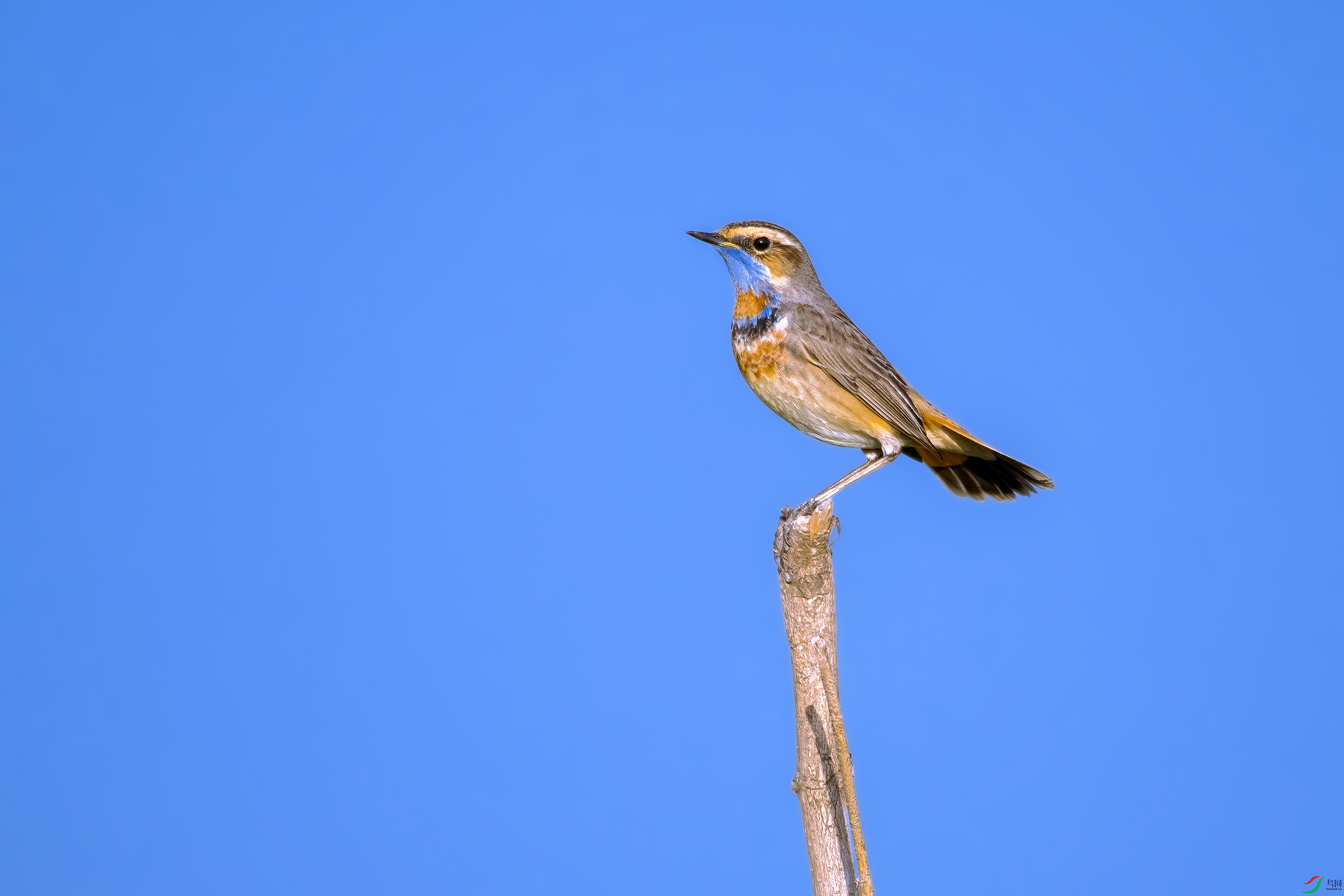 DSC_8303.jpg