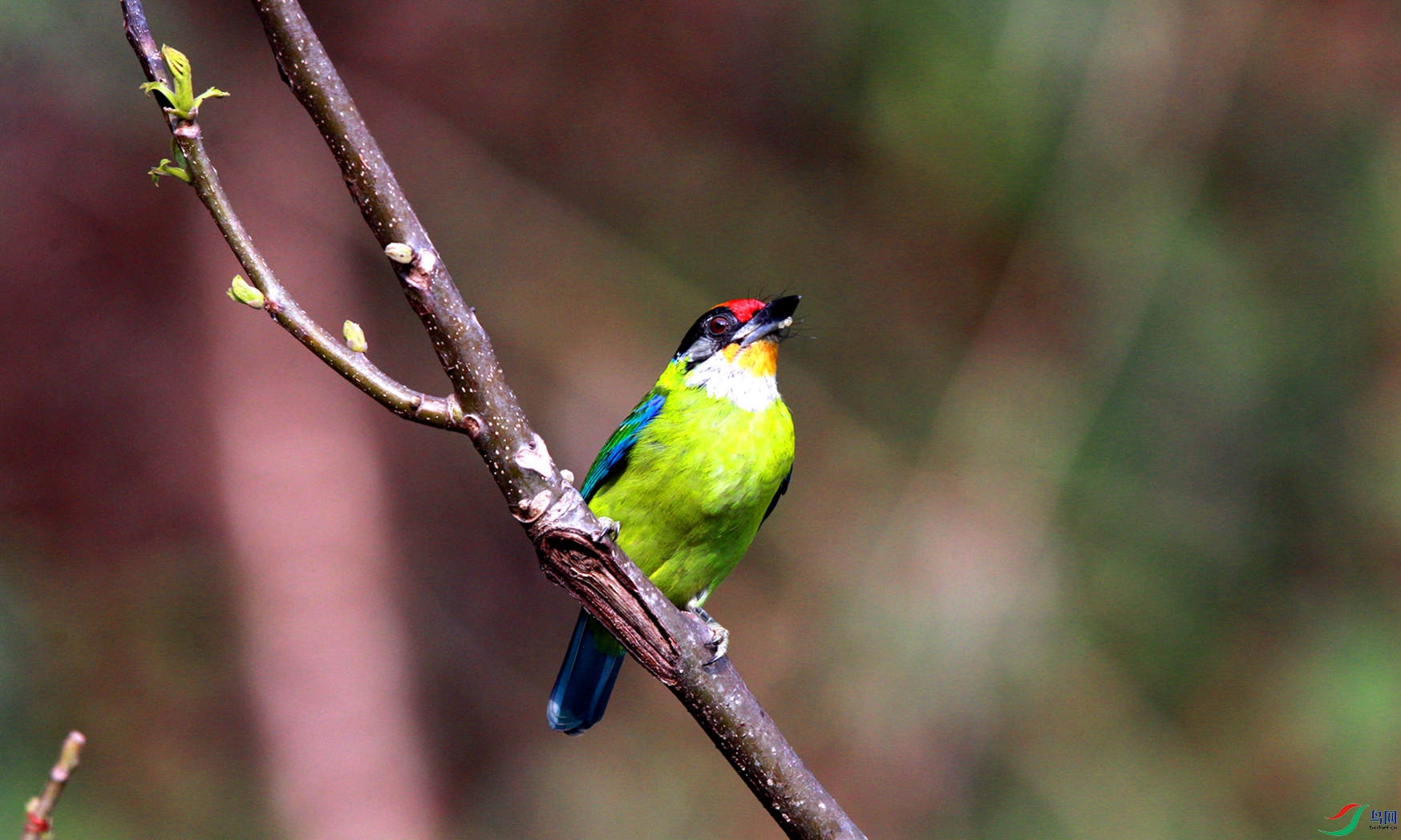 H46R0081_���� (2).jpg