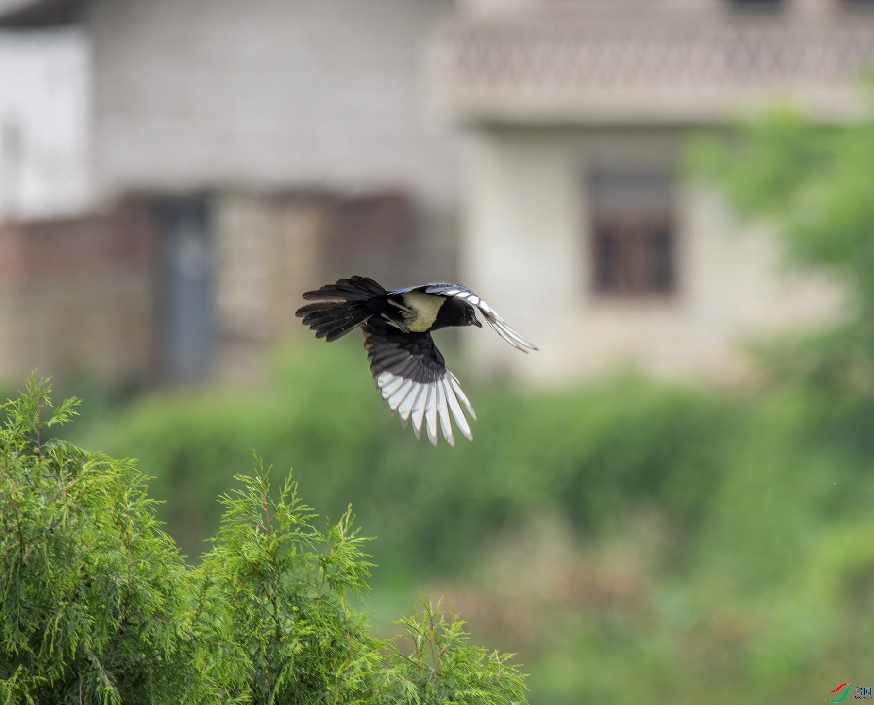 DSC_1805.jpg