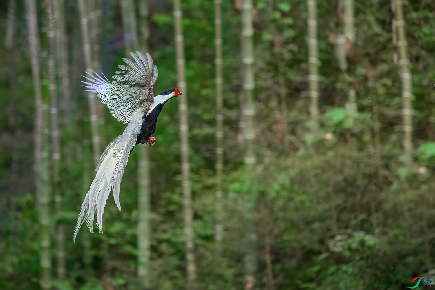 DSC_7423-2.jpg