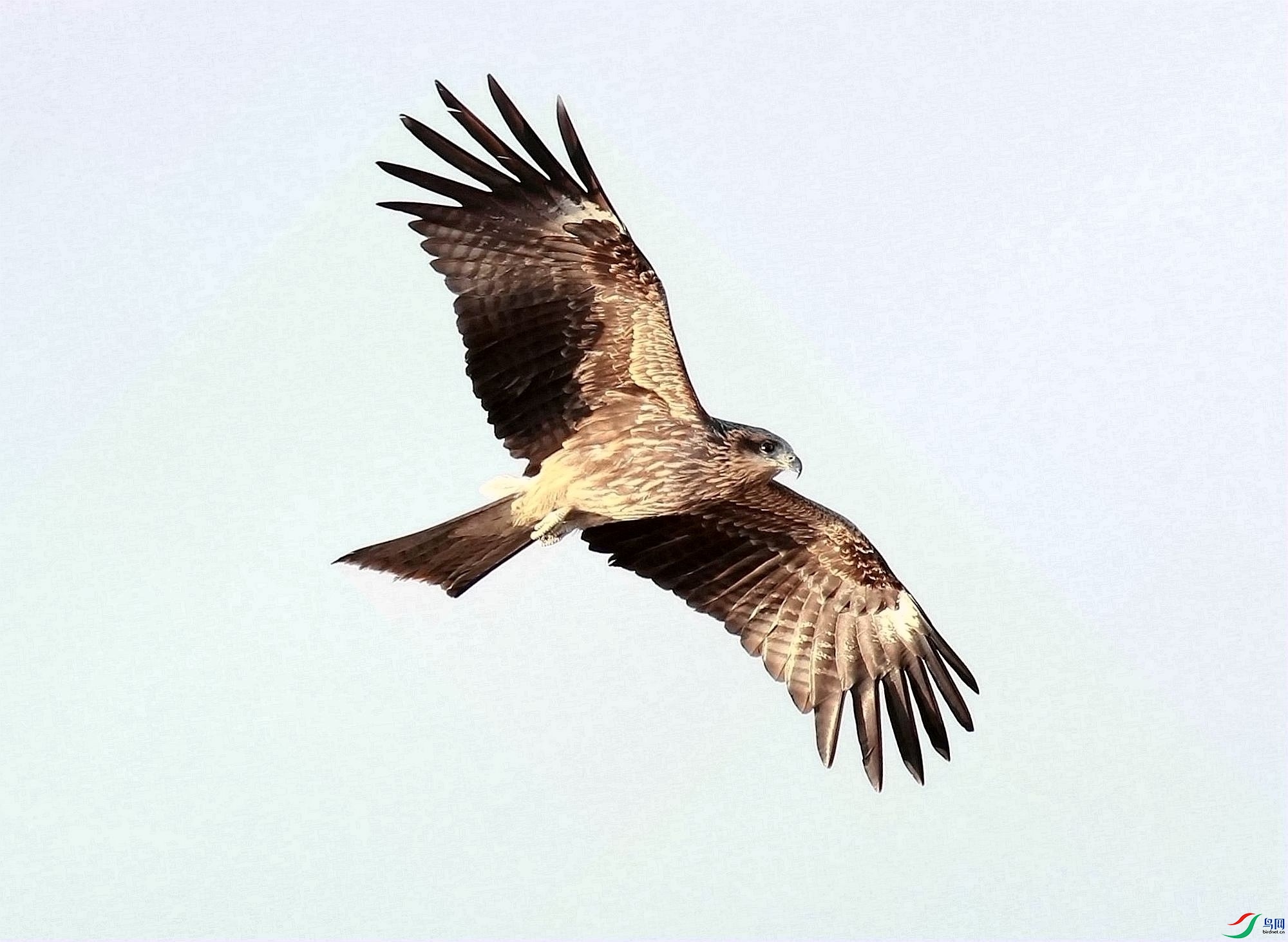 AK2Y0426_2000.jpg