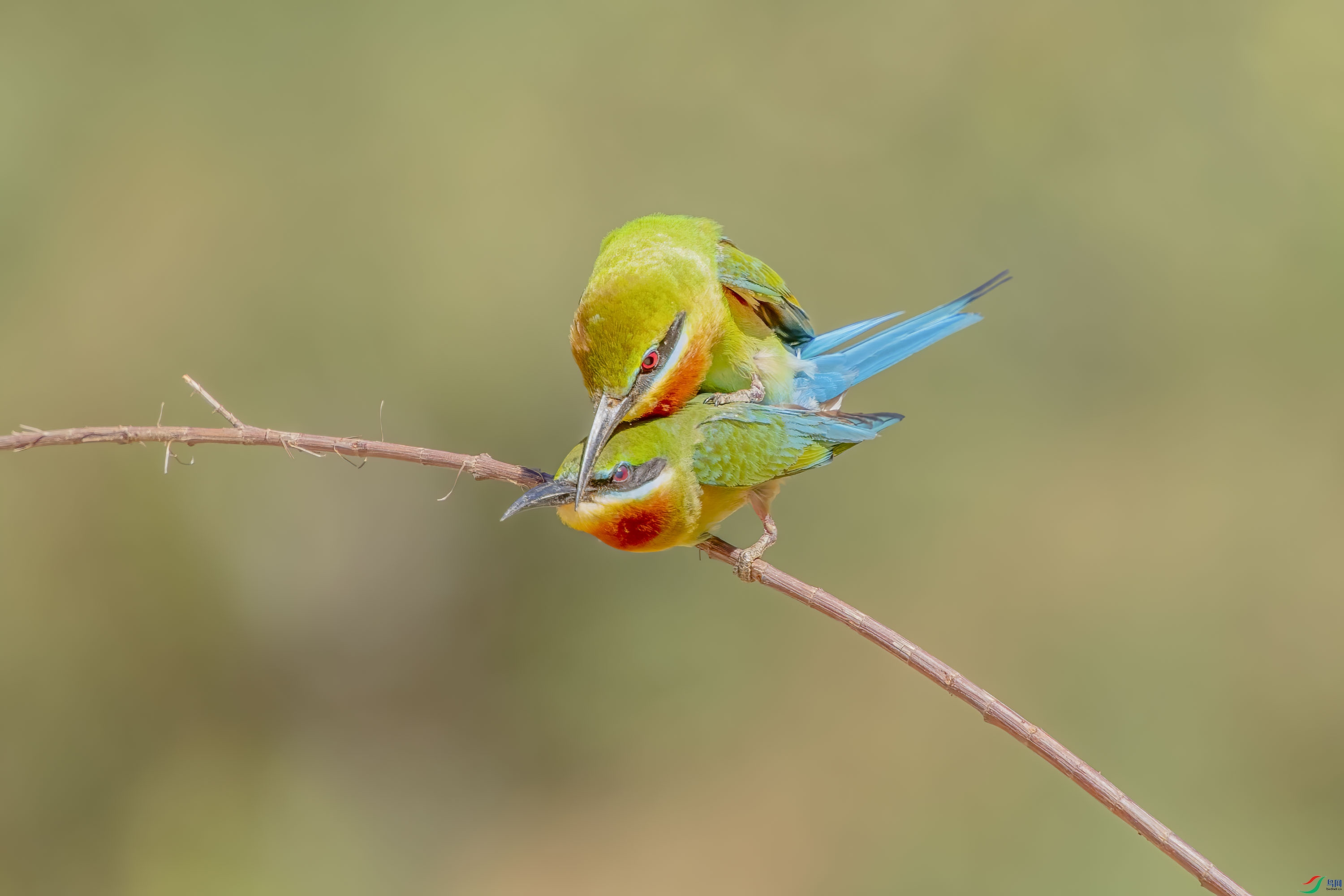 DSC_2039-2x.jpg