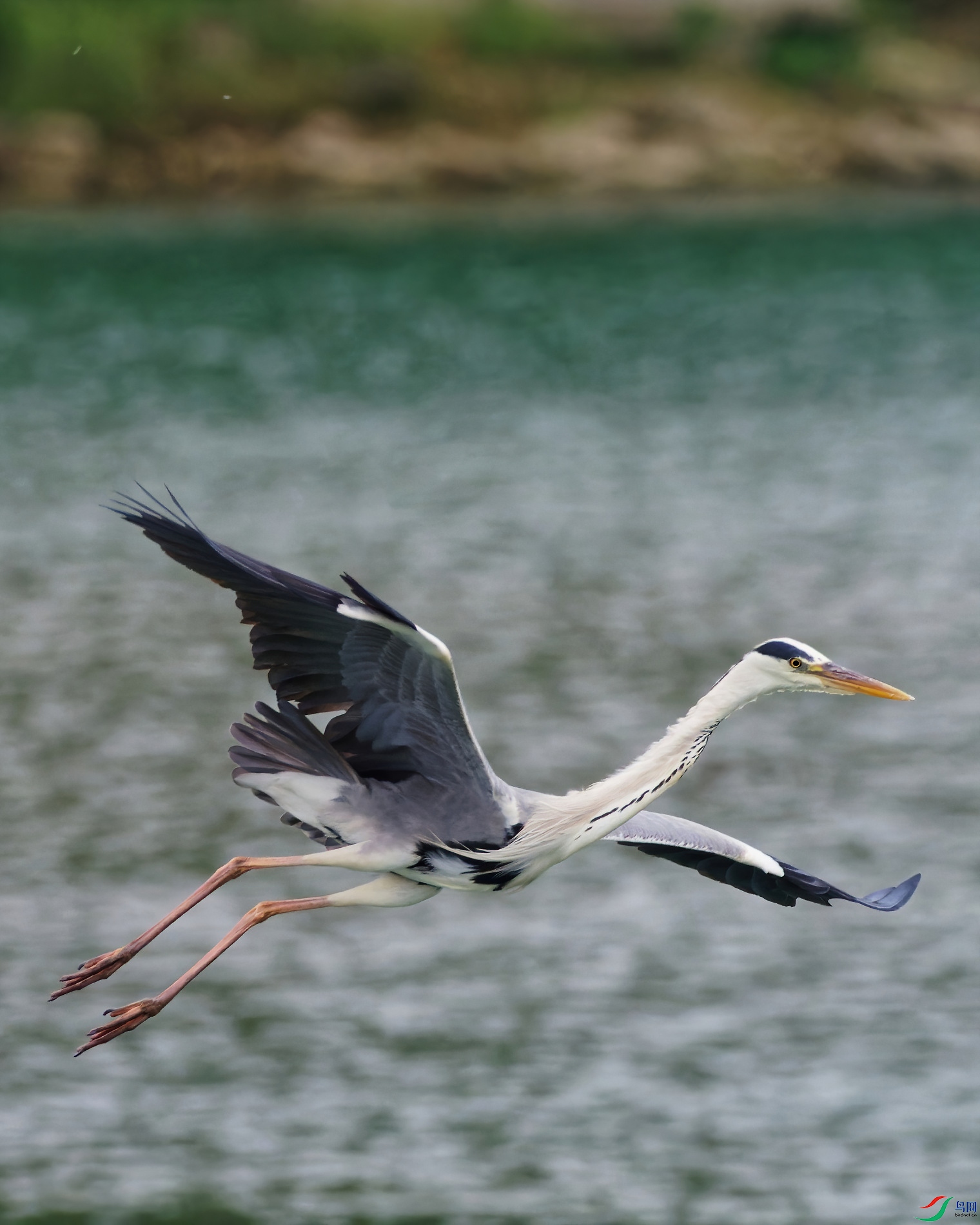 P5150058_DxO-d2.jpg