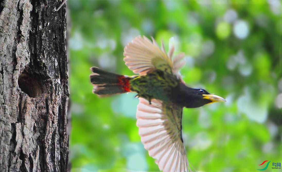 ��Ƭ 4494_����.jpg