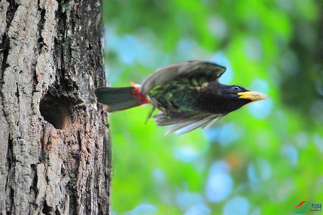 ��Ƭ 4429_����.jpg