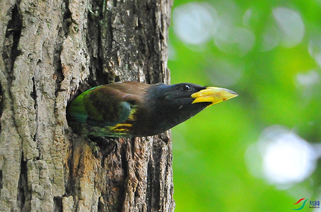 ��Ƭ 4441_����.jpg