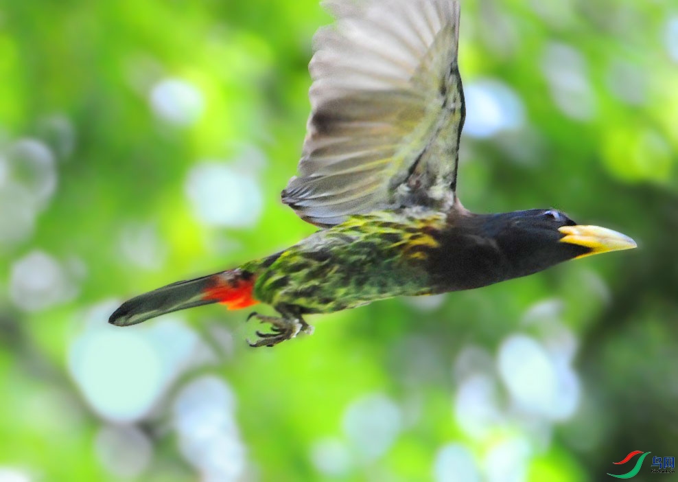 ��Ƭ 4466_����.jpg