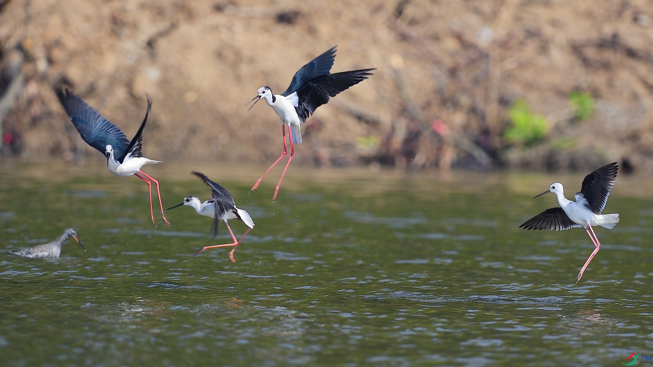 ���������