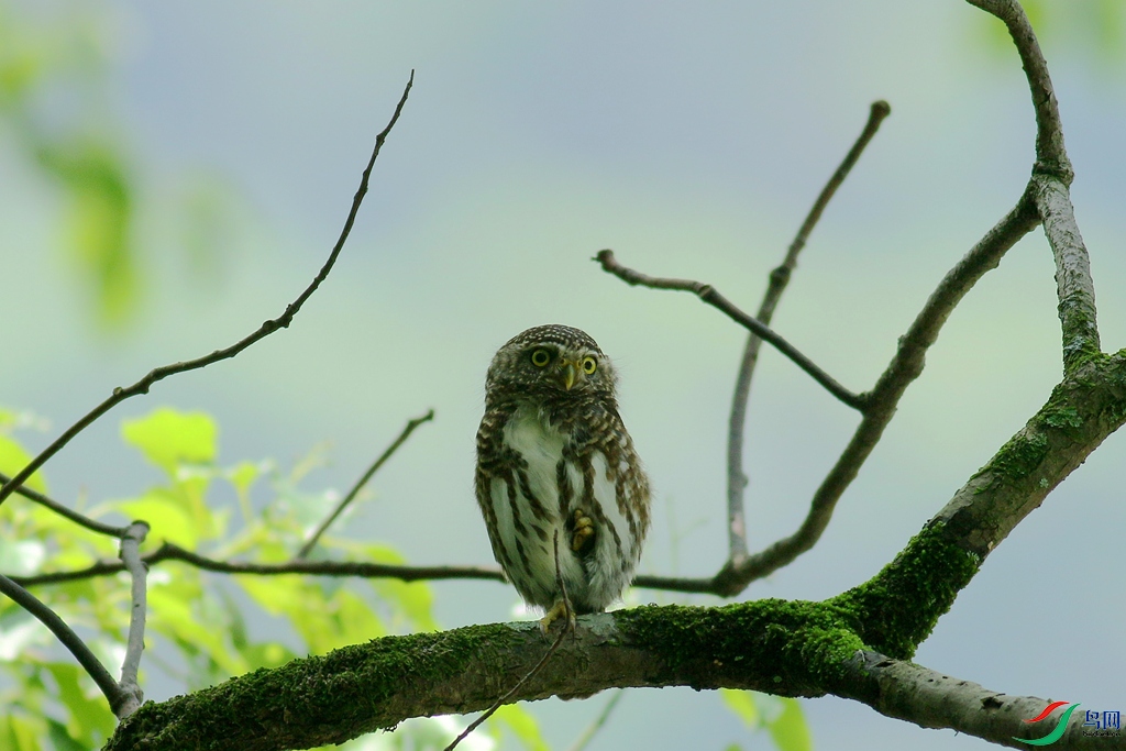 367A0011_����.jpg