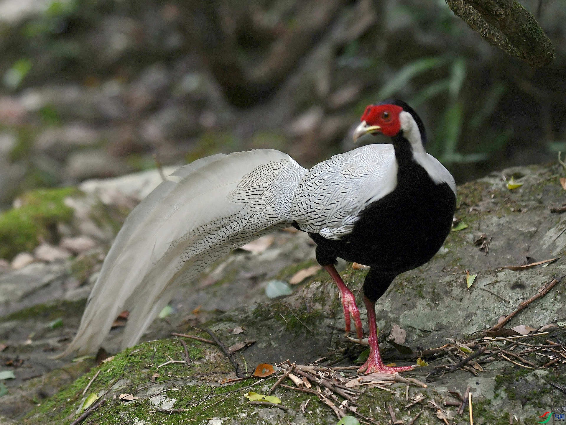 D5D_0095.jpg