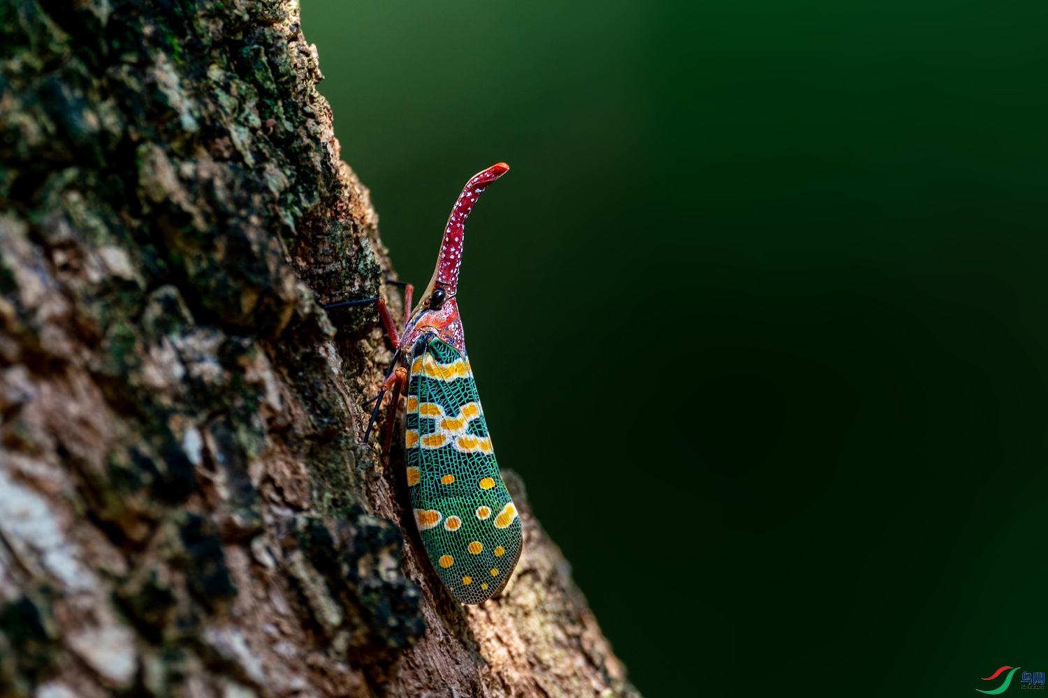 A9D04696a.jpg