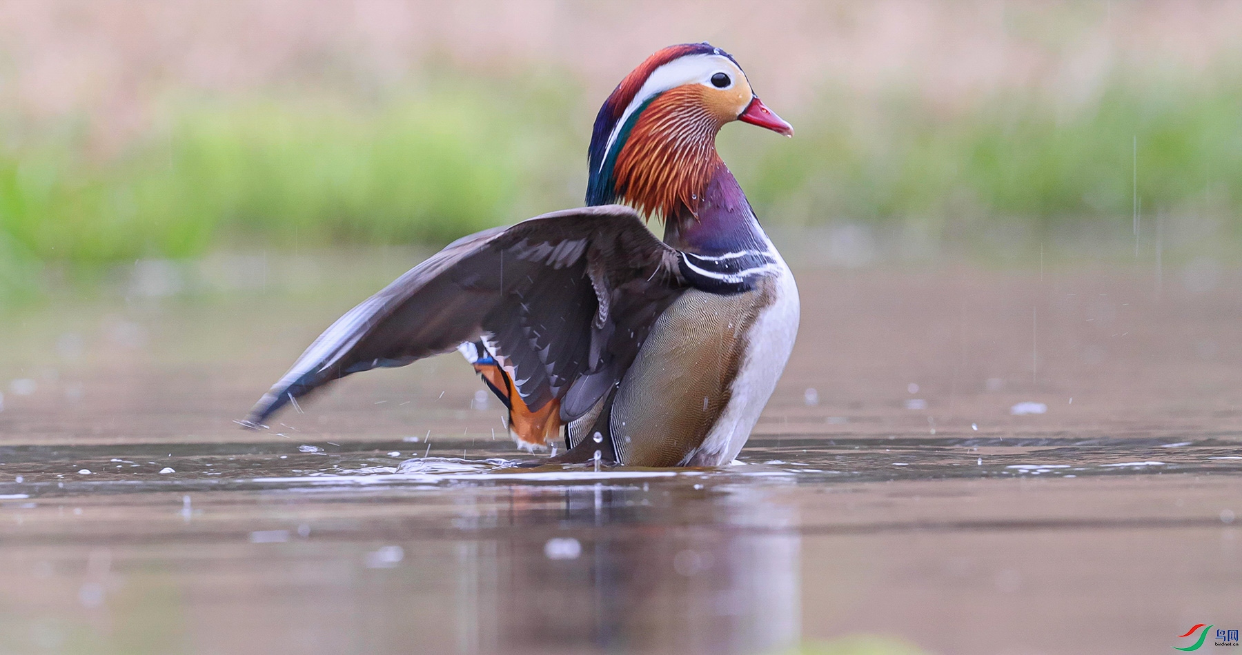 Ƕ������ 01.00_00_25_49.Still001_2.jpg