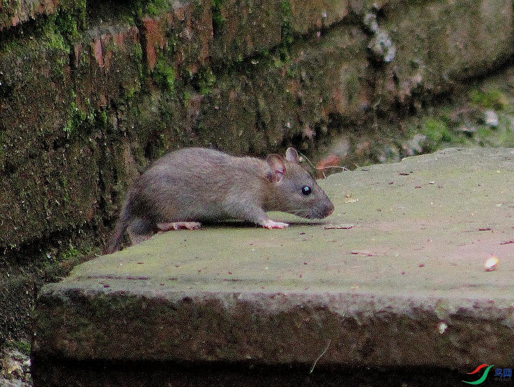 IMG_0421.JPG