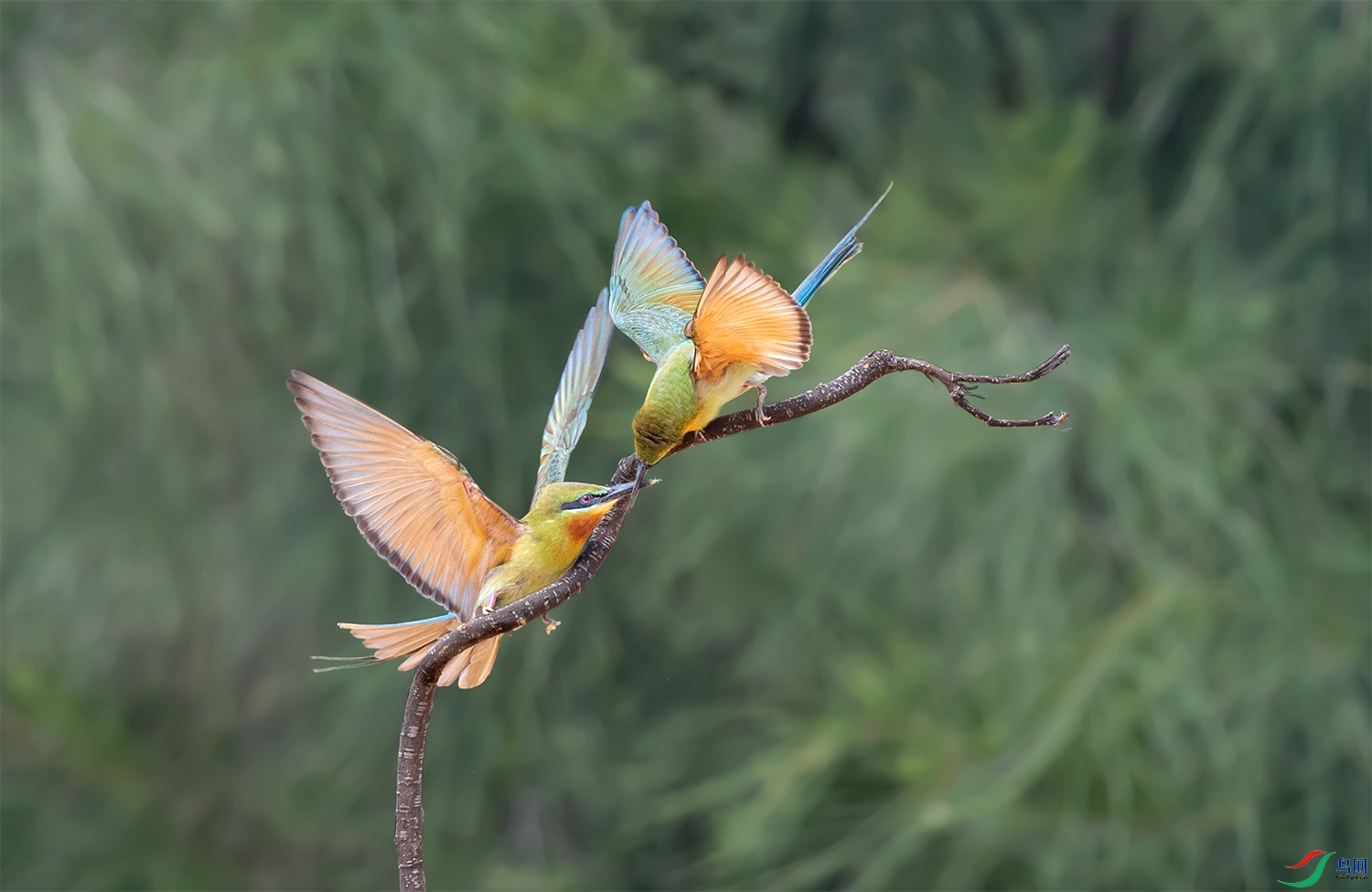 DSC_8172.jpg