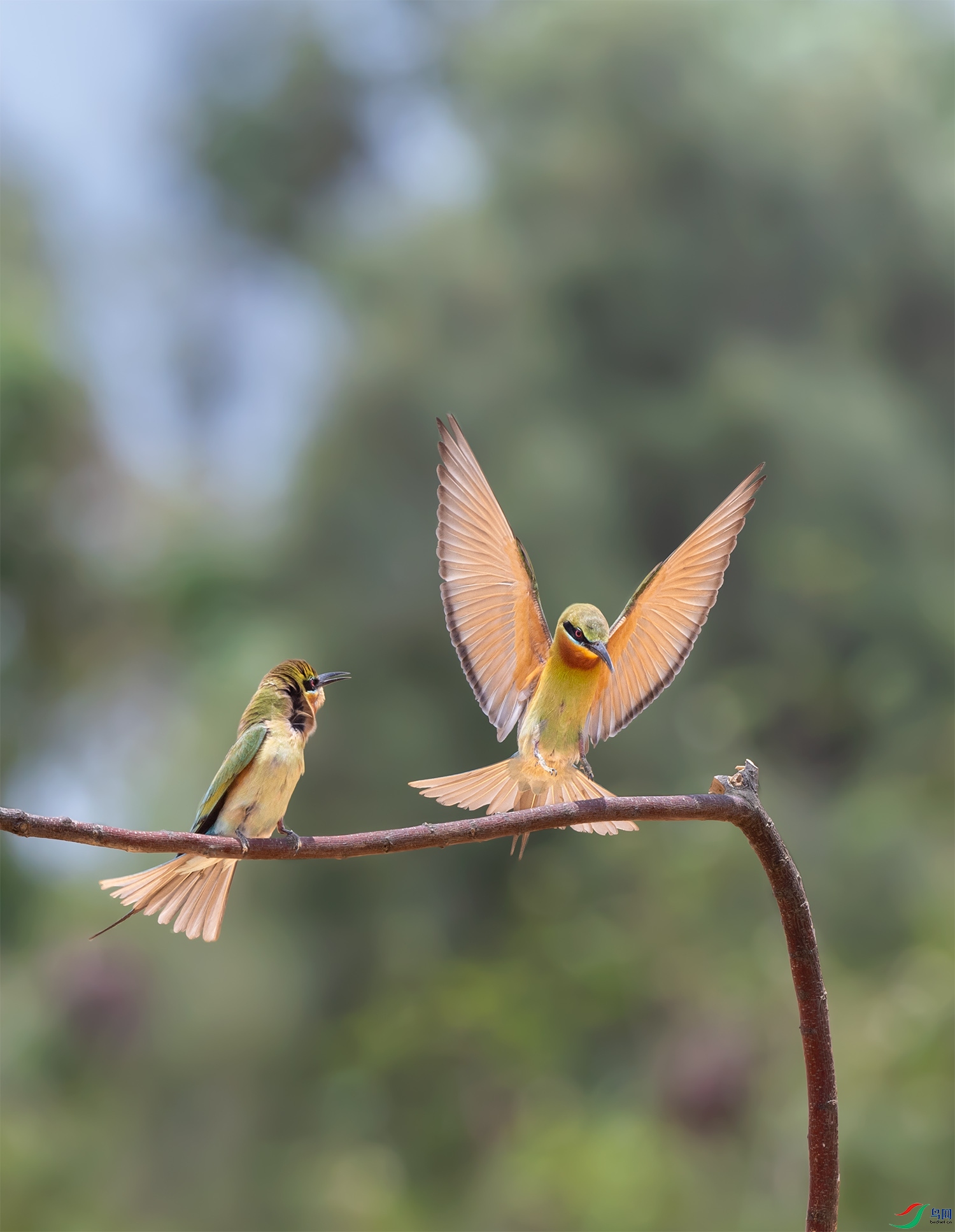 DSC_7853.jpg