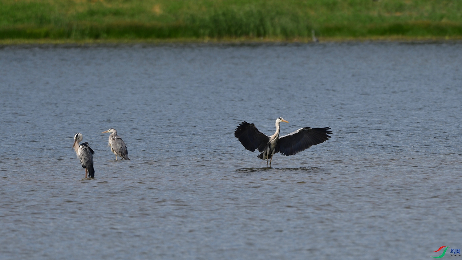 DSC_9766.jpg