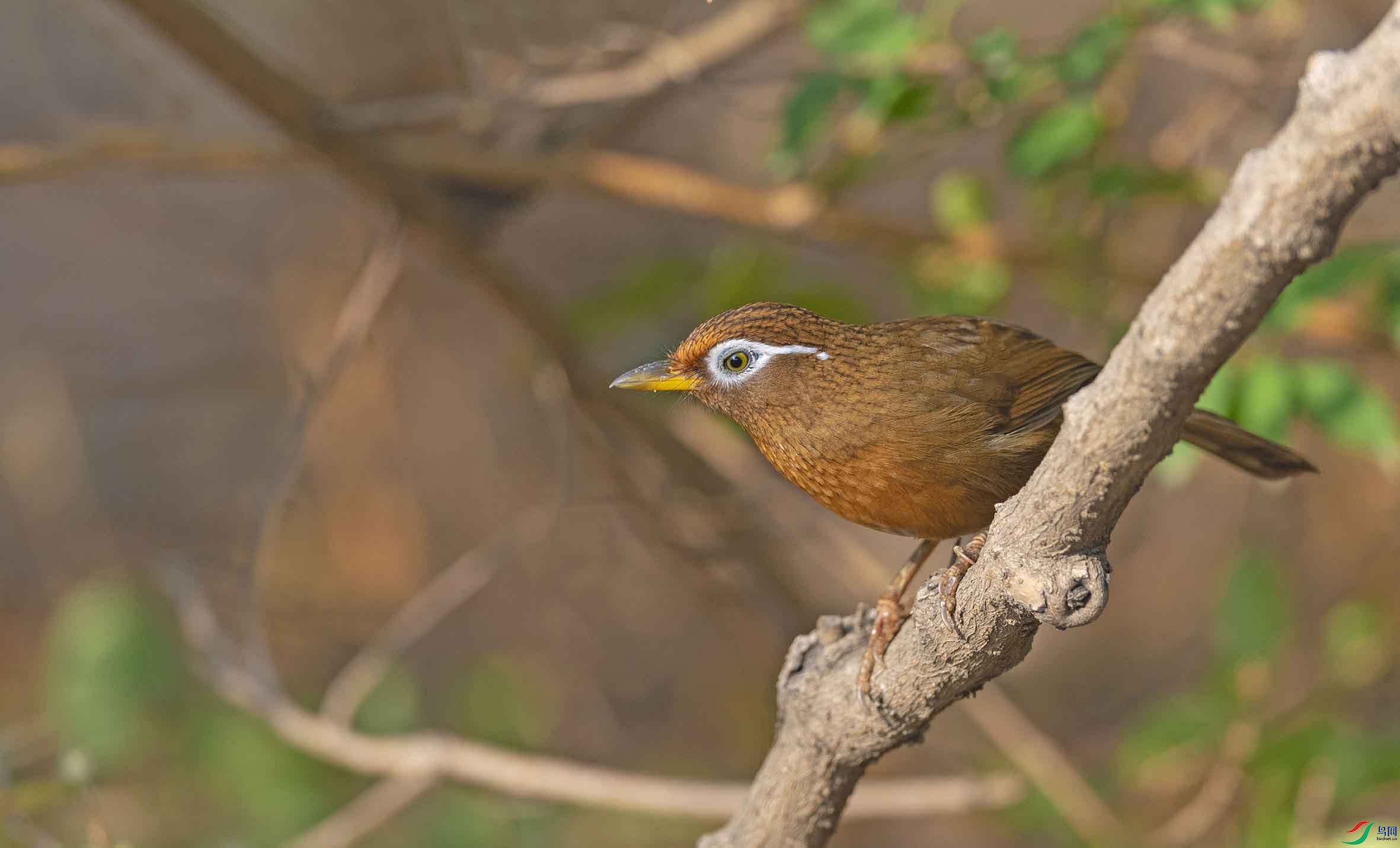 DSC_3428-3.jpg