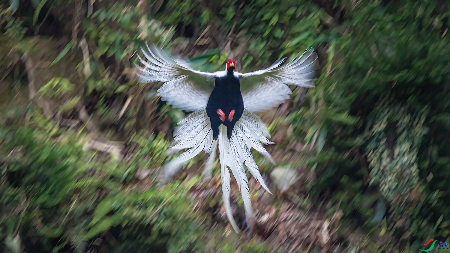 DSC_8259-4.jpg