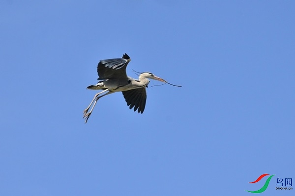 043.JPG