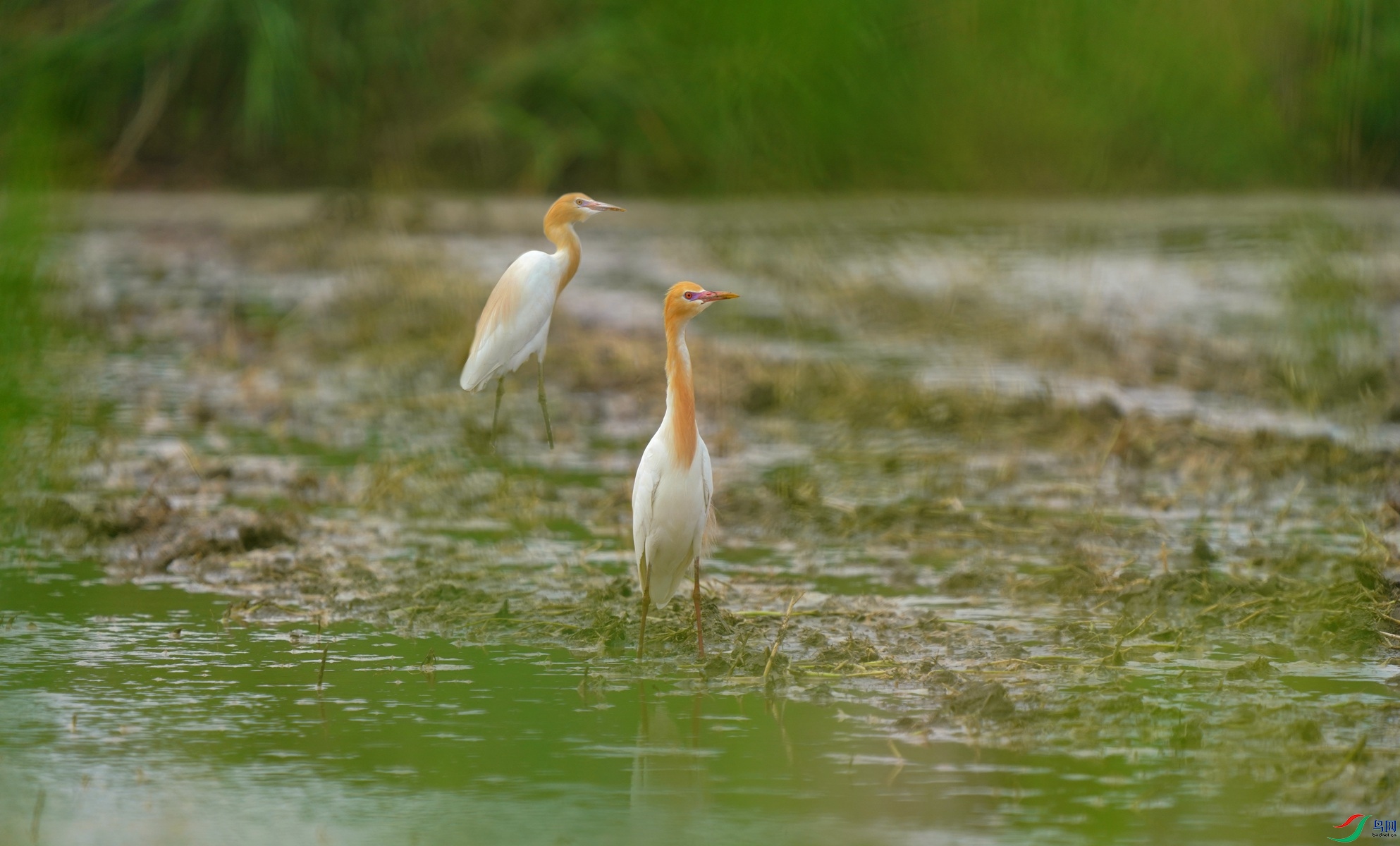 DSC07773_���� ������ɴ.jpg