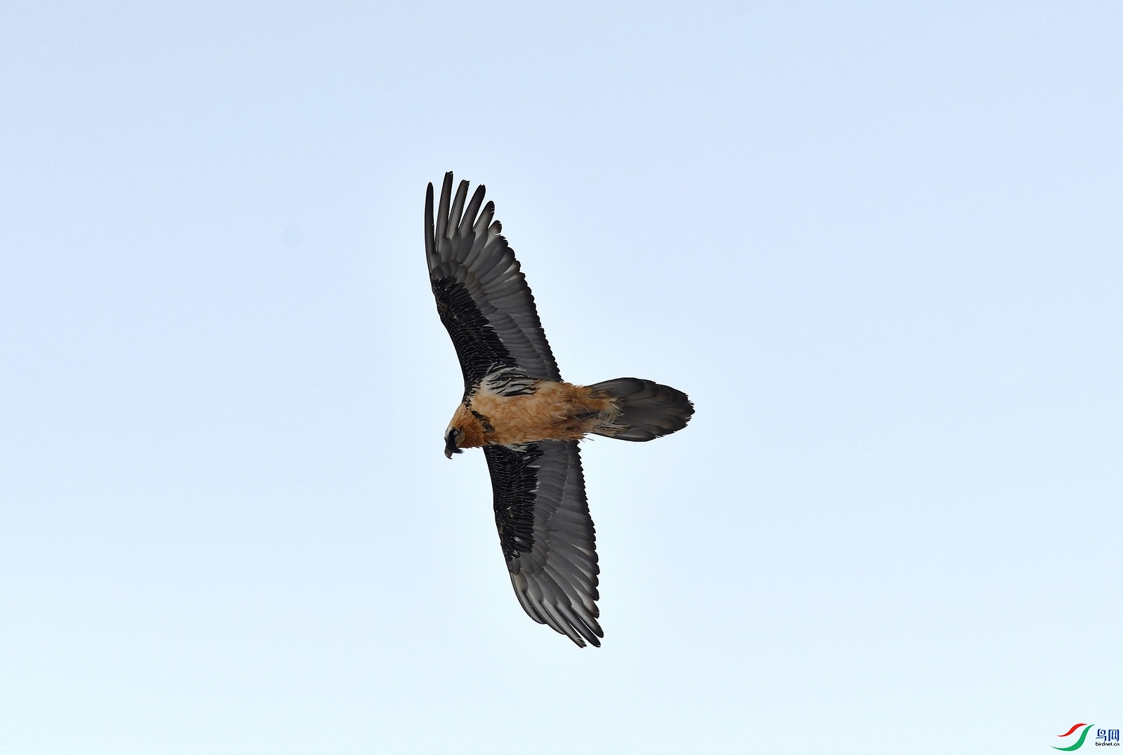 DSC_1920.JPG