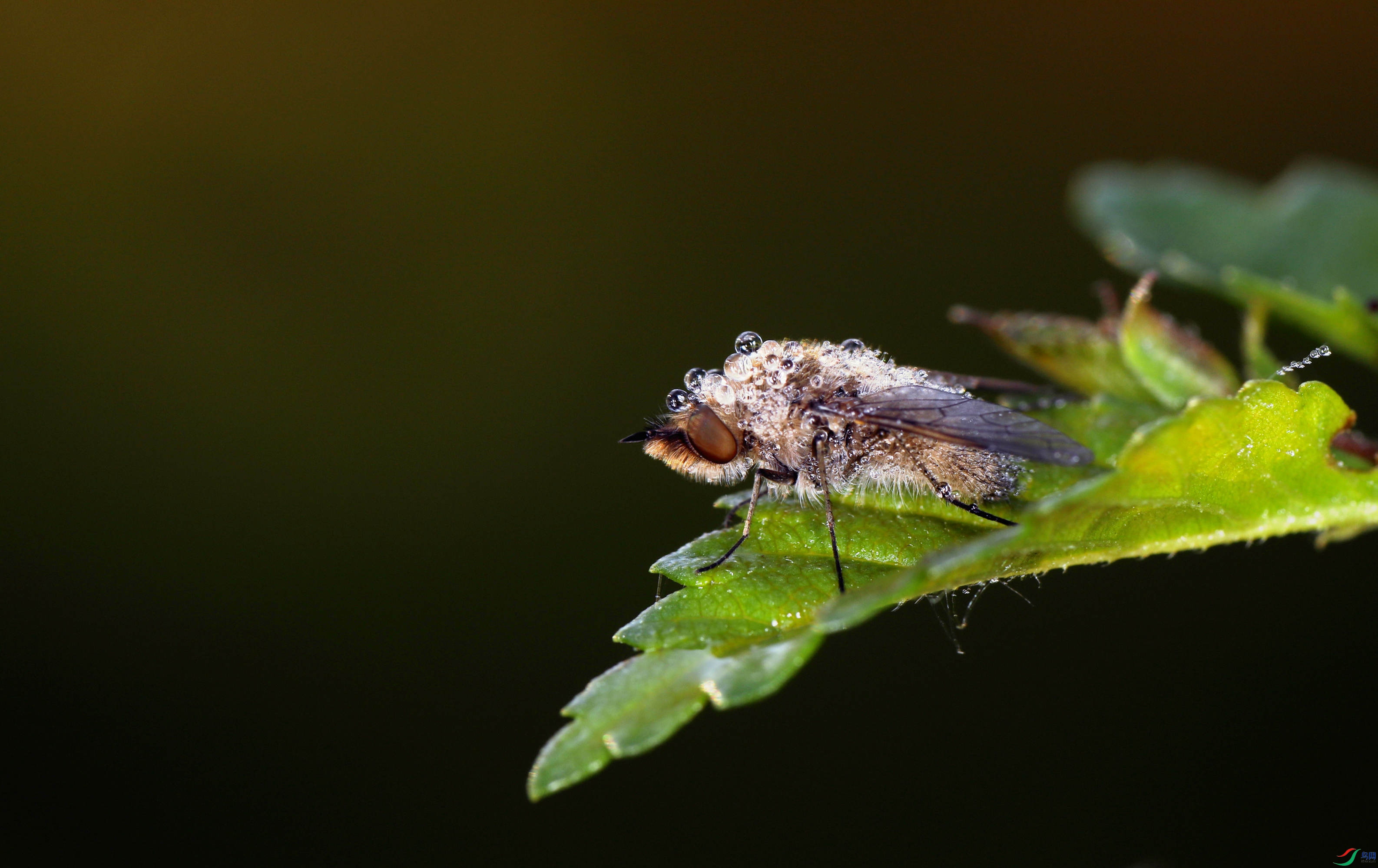 EC6A2445_����.jpg