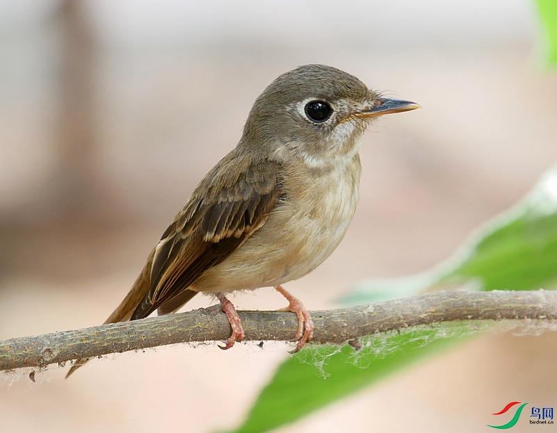 P6730614 - ���� (2).JPG