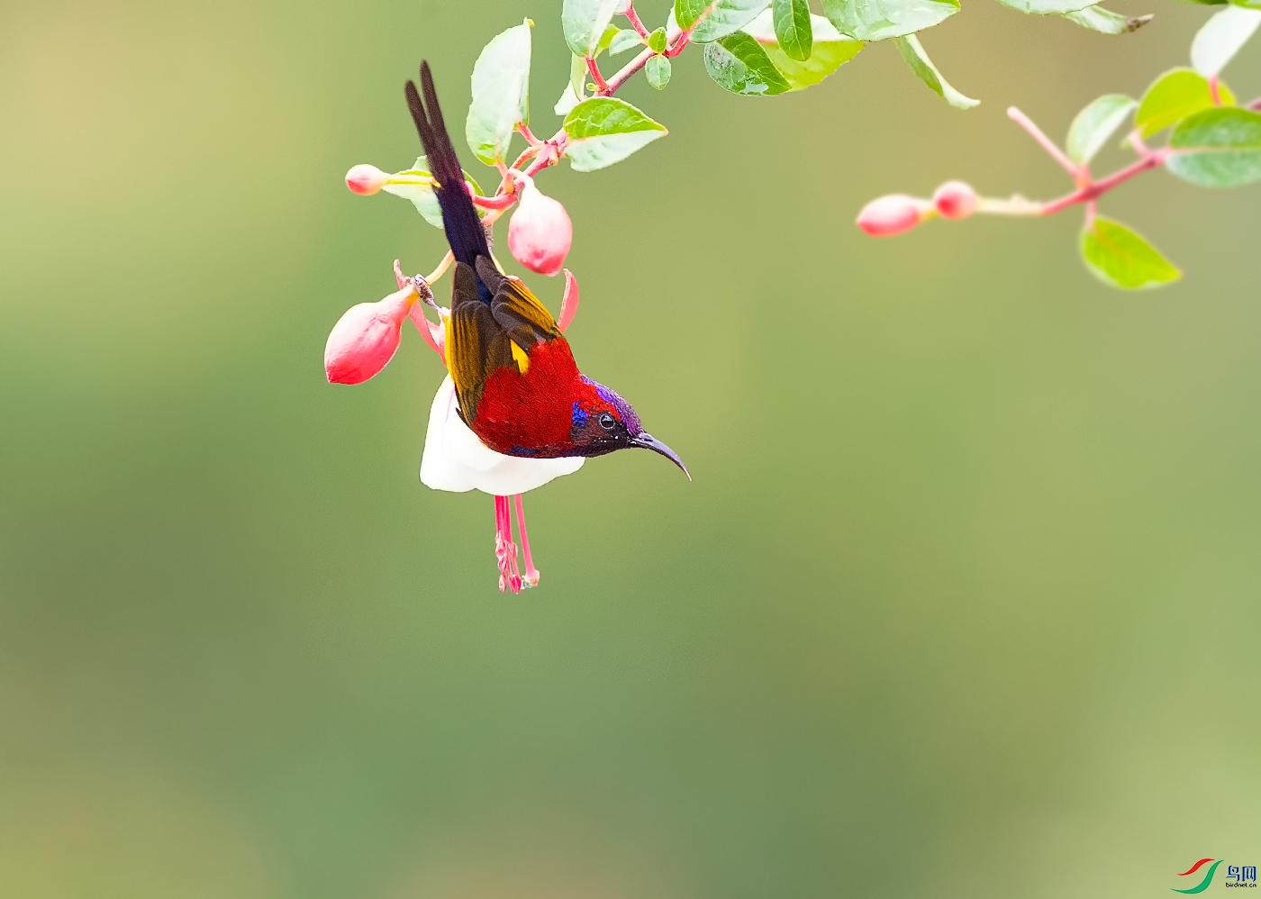 DSC_3809.jpg