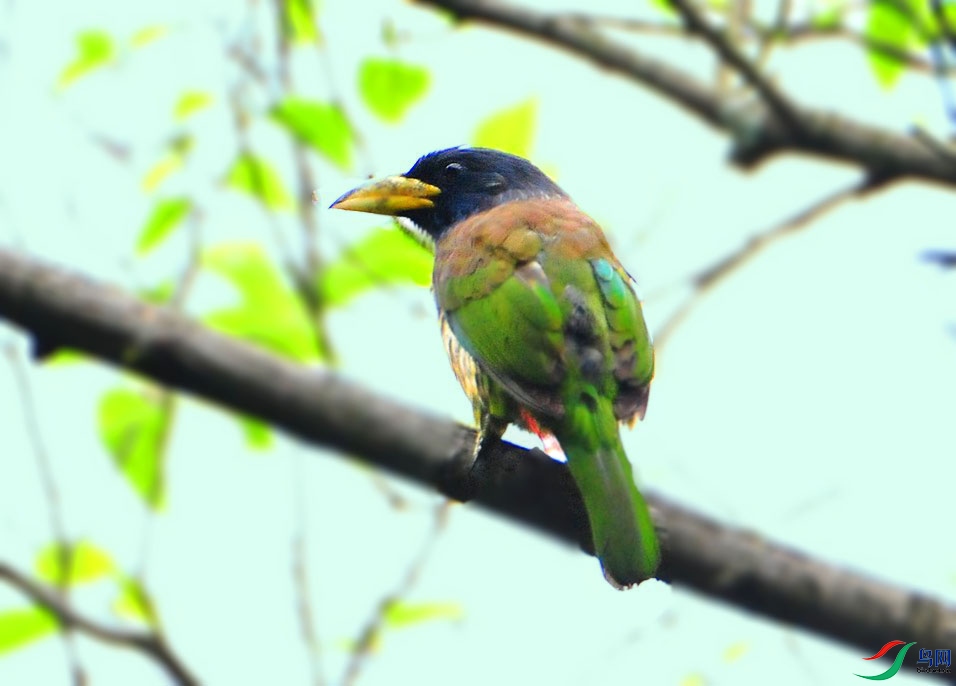 ��Ƭ 4553_����.jpg