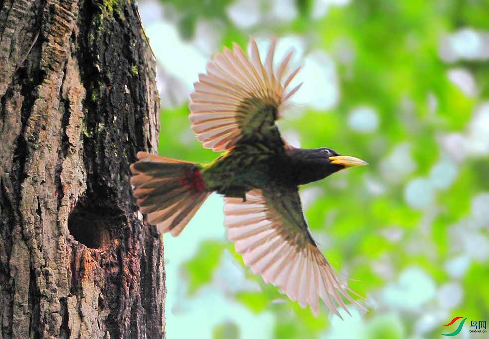 ��Ƭ 4525_����.jpg