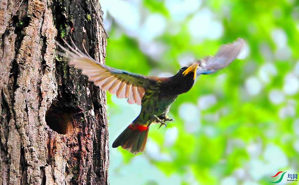 ��Ƭ 4528_����.jpg