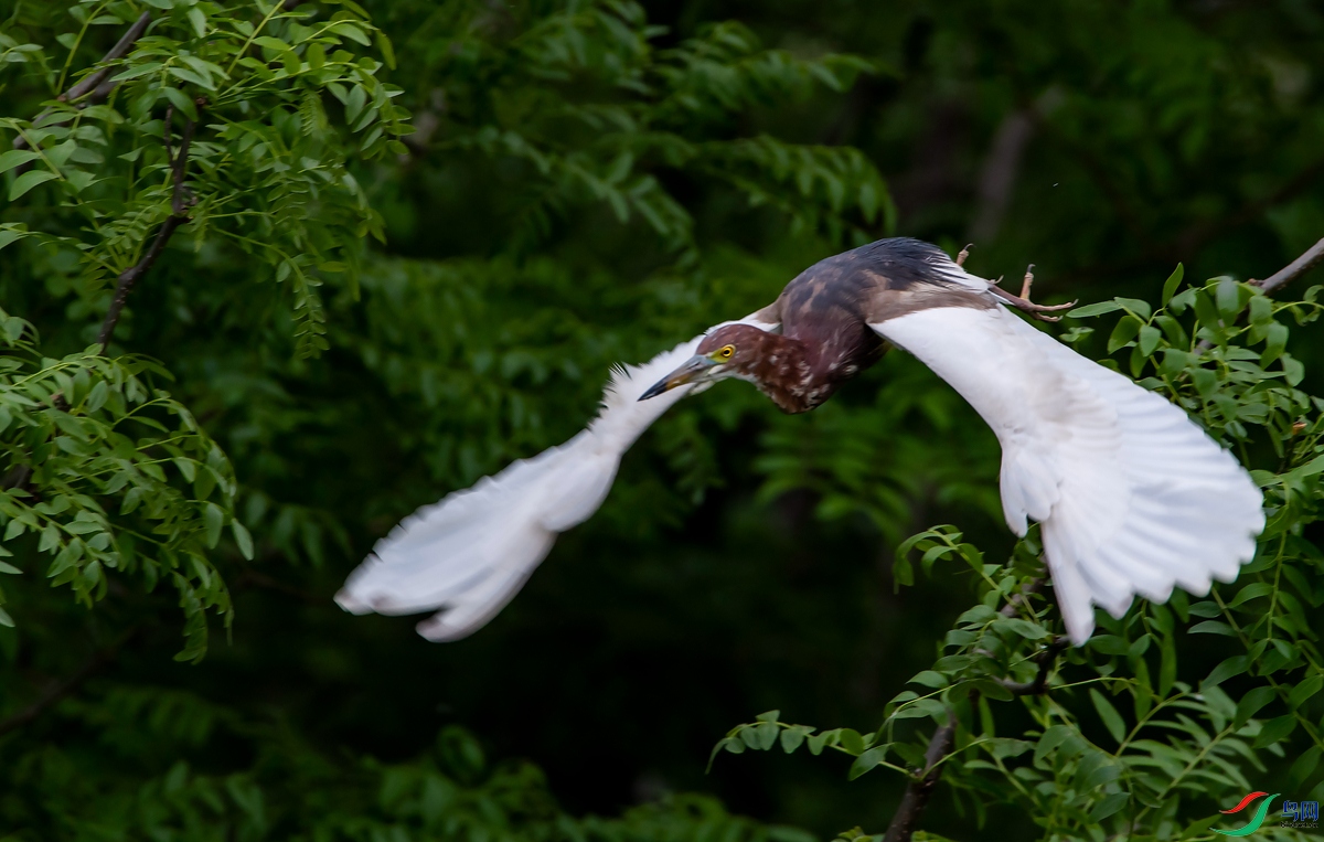 DSC_6493.jpg
