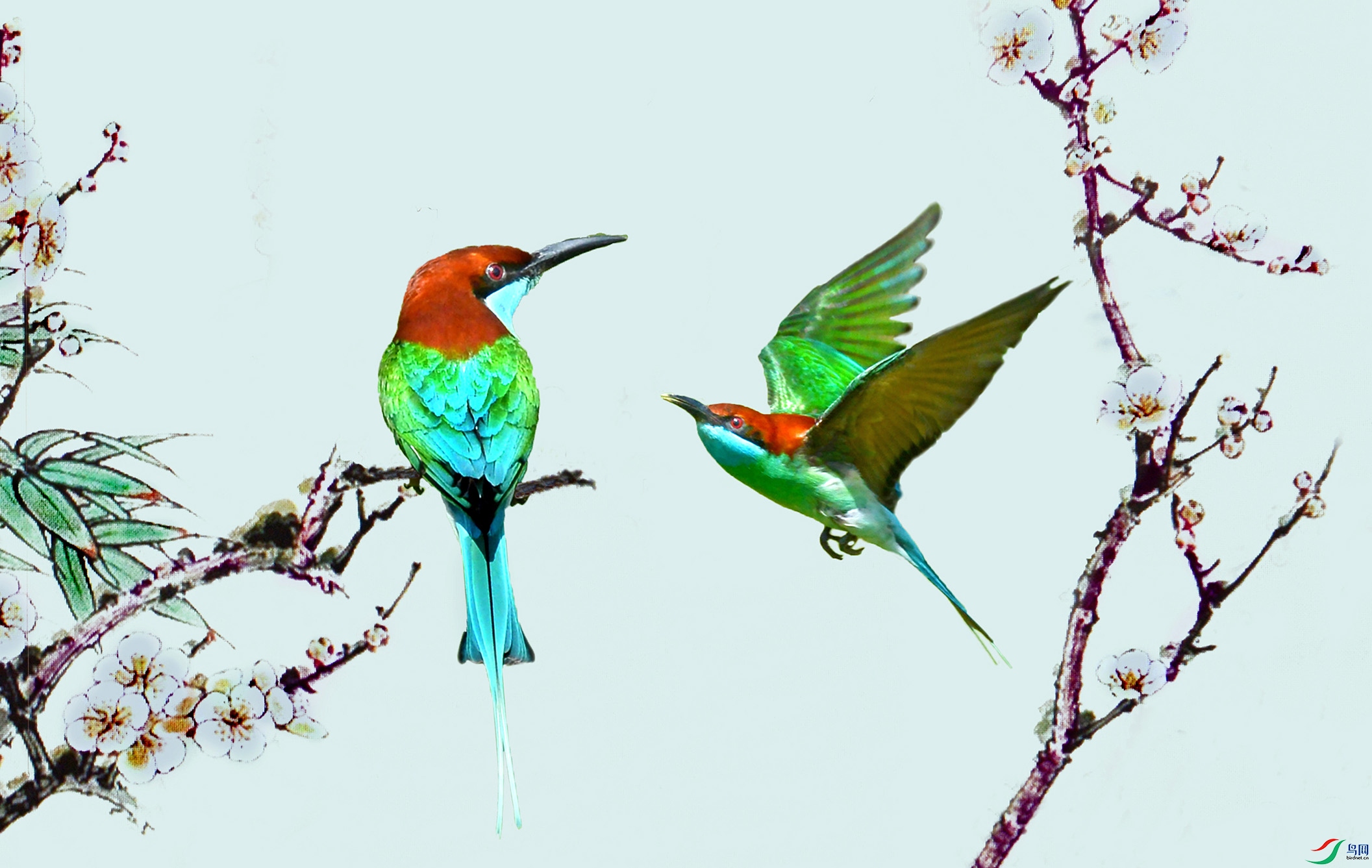 5.����������仢1810AM.jpg