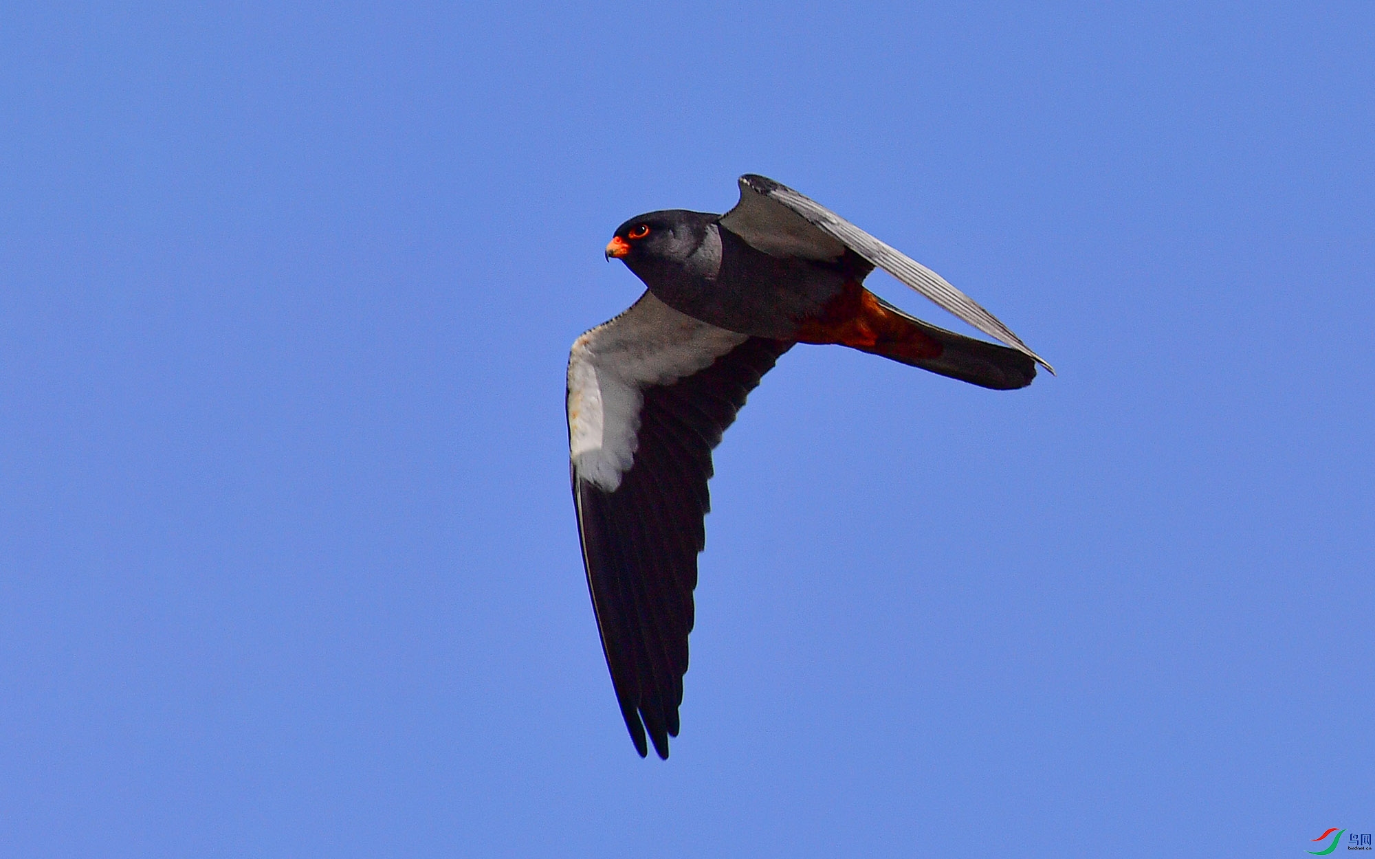 DSC_4494.jpg