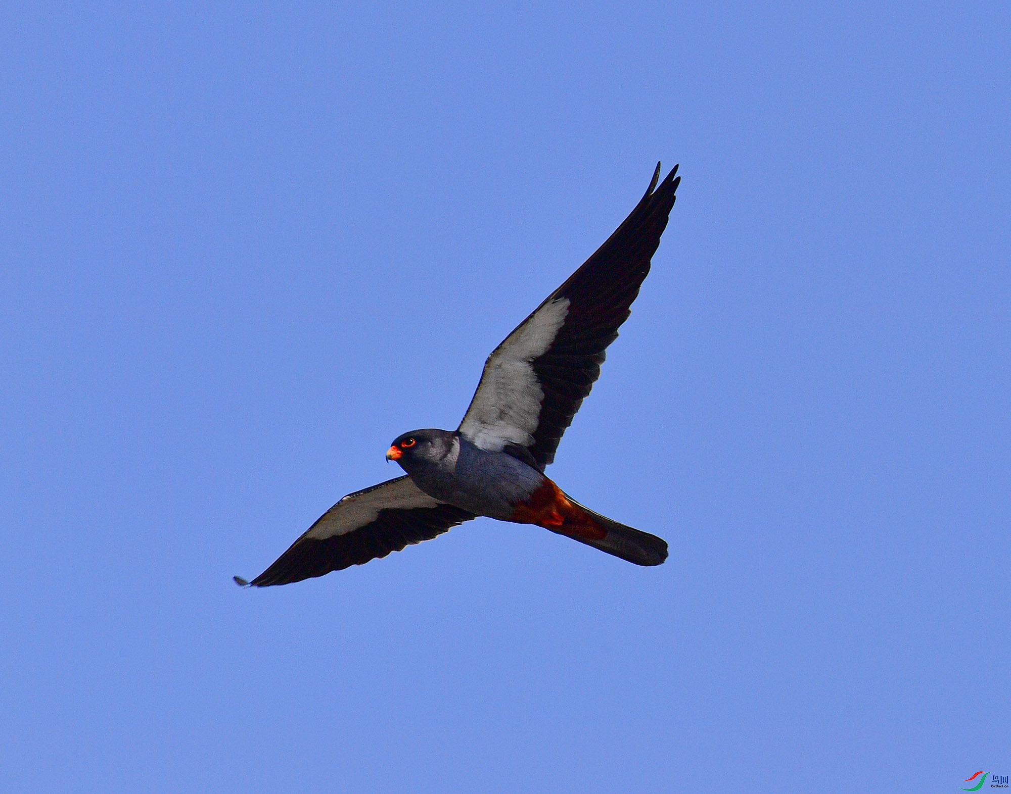 DSC_4493.jpg