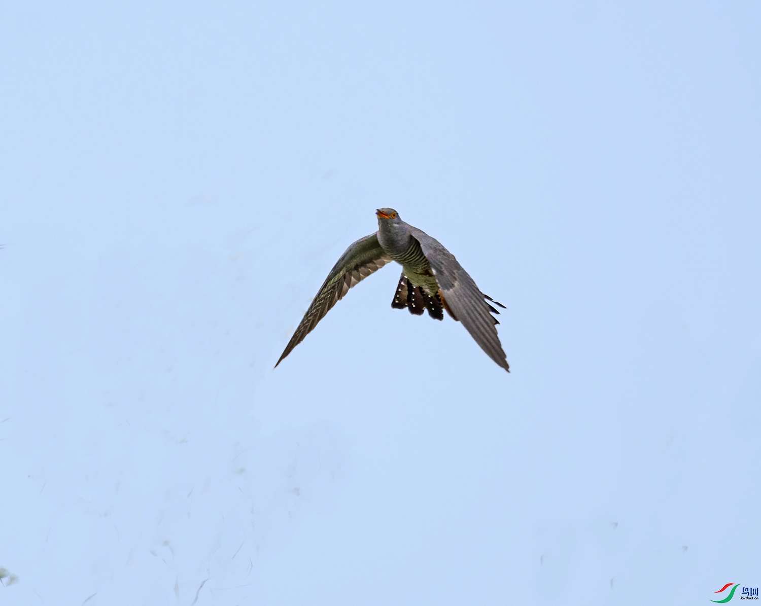DSC_1855-2.jpg