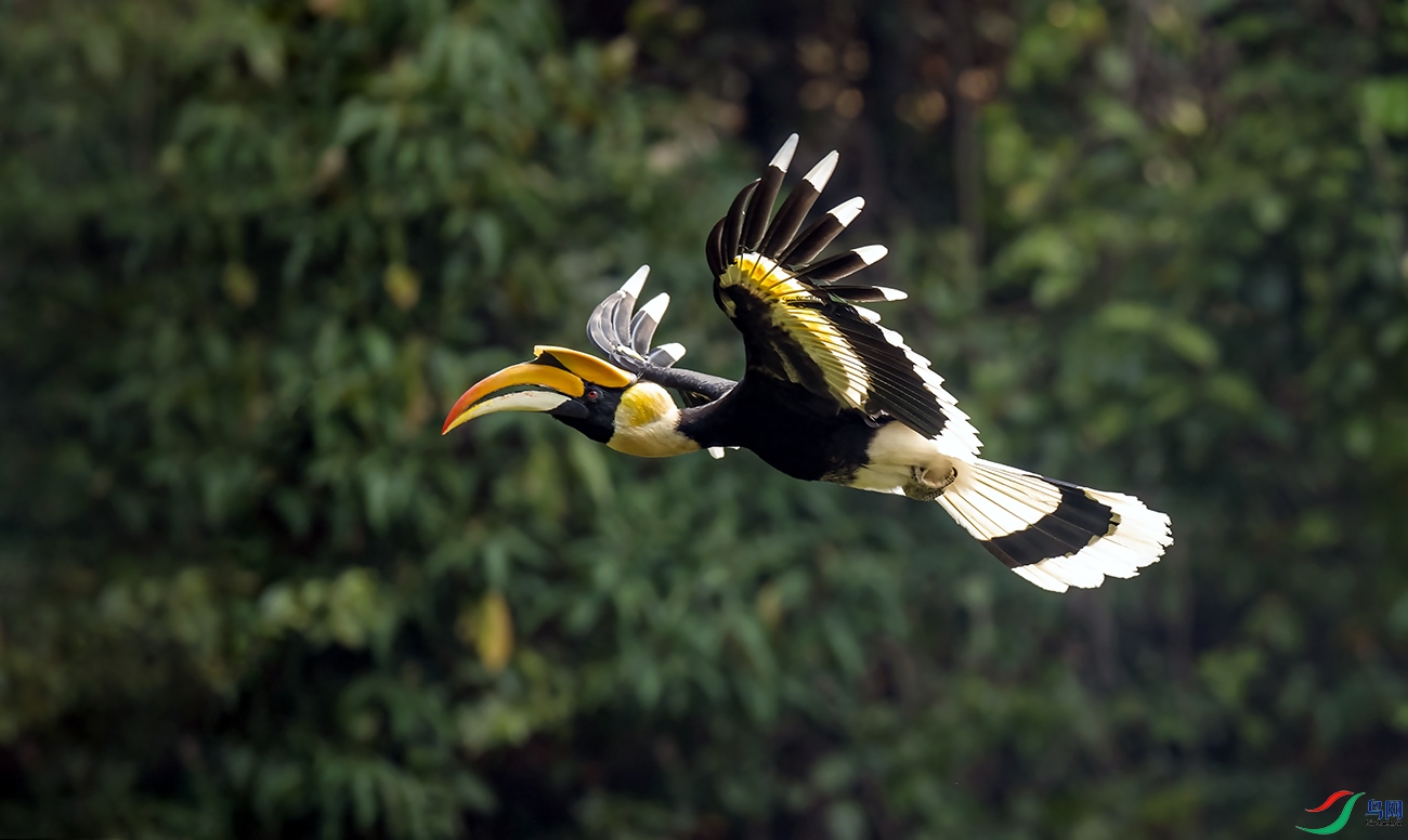 _DSC4438==1x.jpg