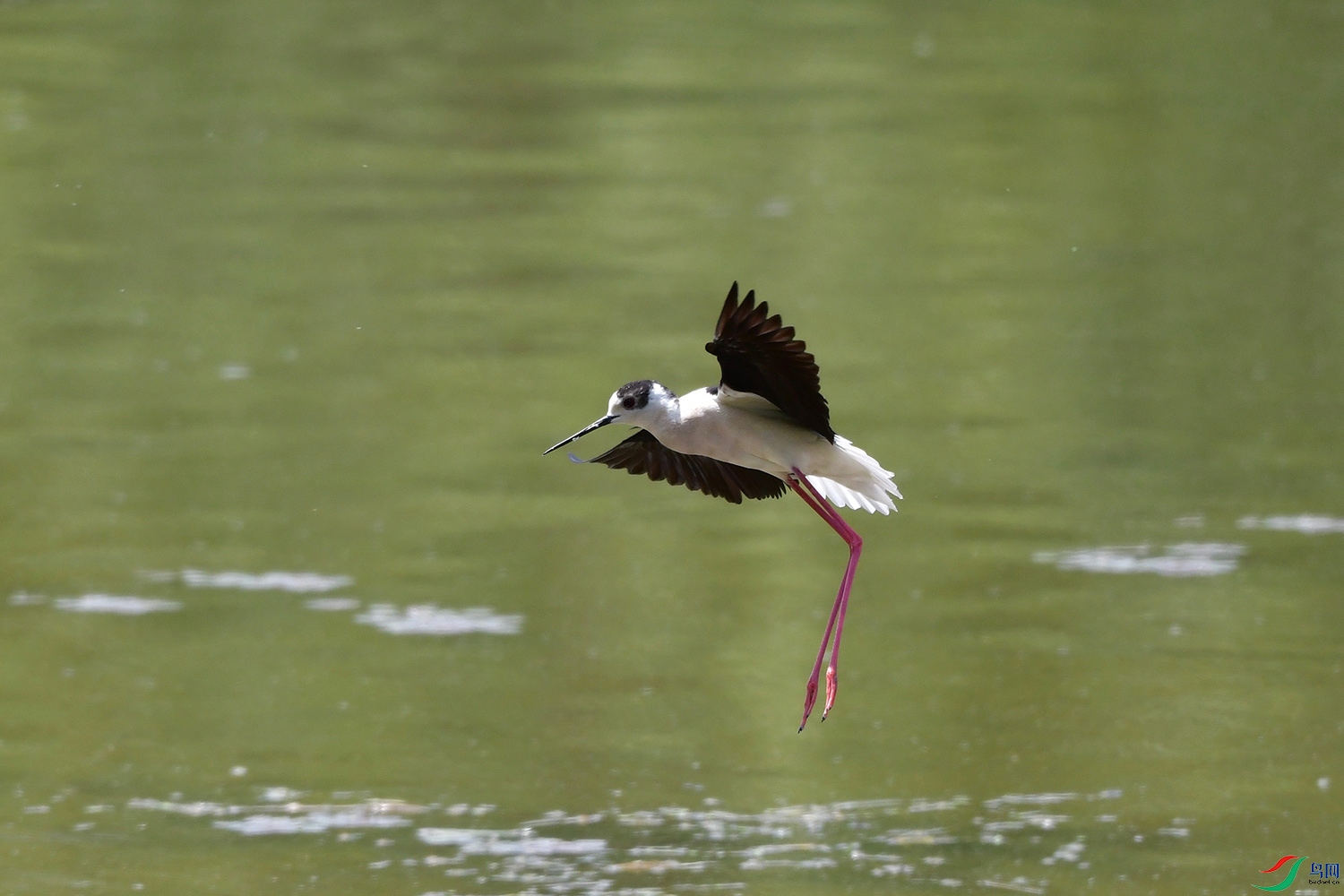 DSC_2054.jpg