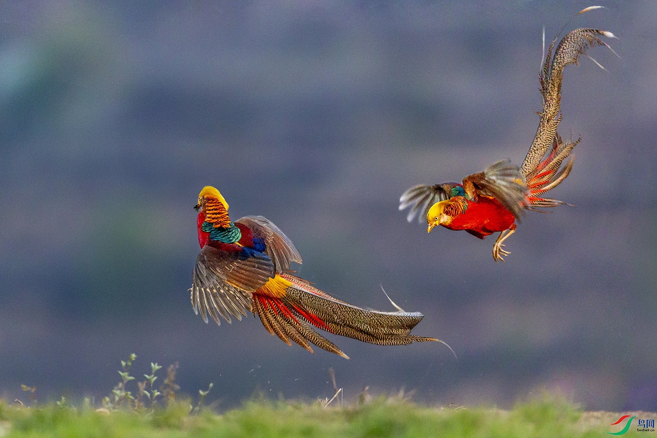 �������� (5).jpg