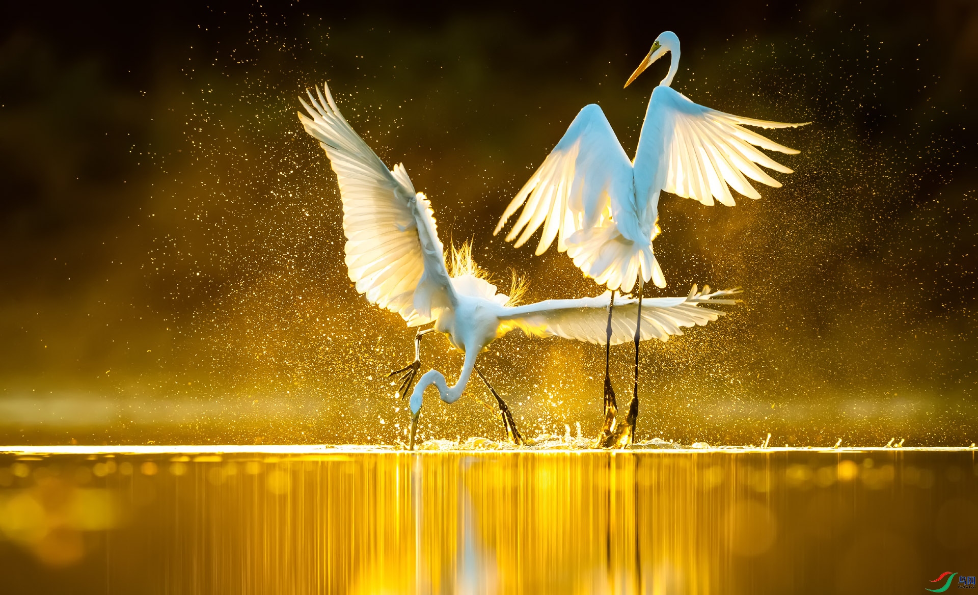 DSC_5764_2 ����.jpg