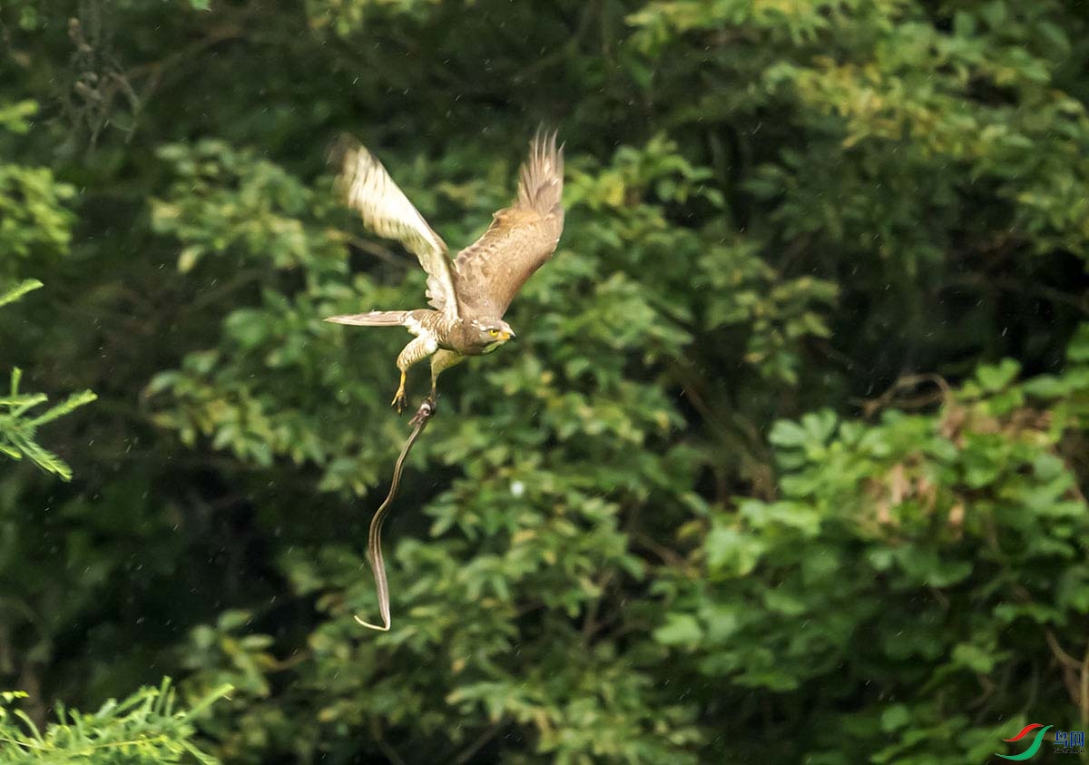 _DSC5693.jpg- - ���� - ���� - ����.jpg