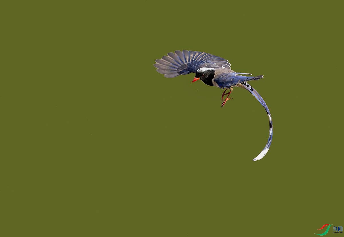 _DSC2321.jpg-- - ���� - ����.jpg