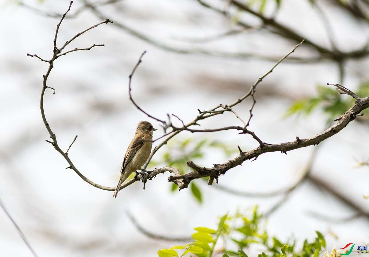 _DSC0060.jpg- - ����.jpg