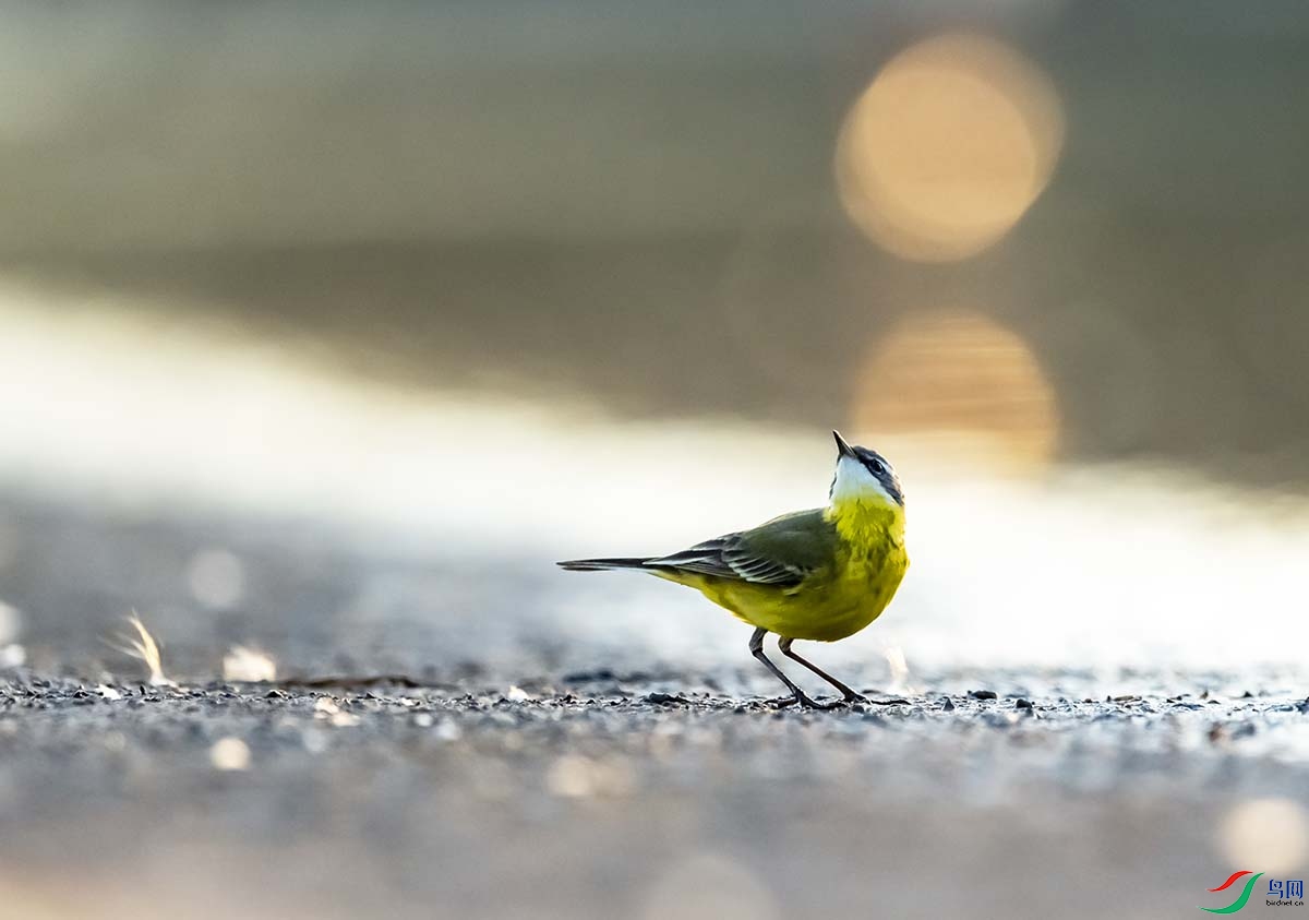 DSC_6898-1 - ���� - ����.jpg