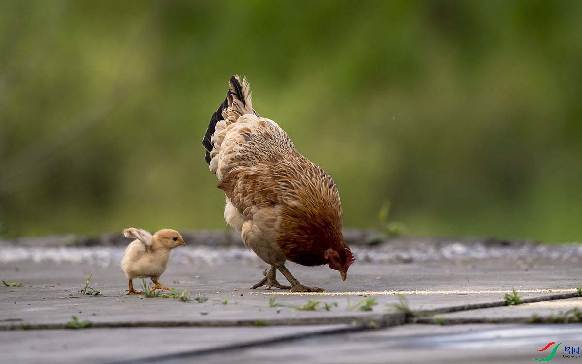 _DSC4565.jpg-- - ����.jpg