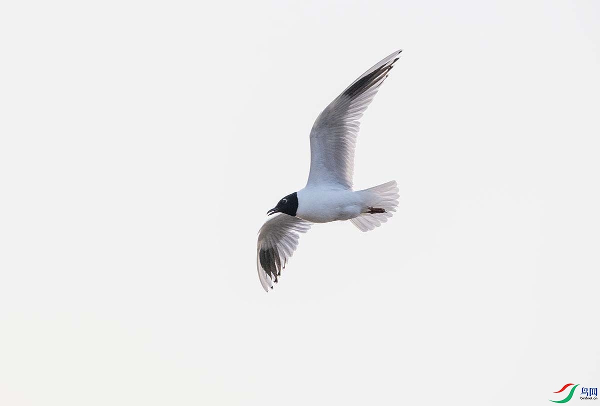 _DSC7126.jpg- - ���� - - ����.jpg