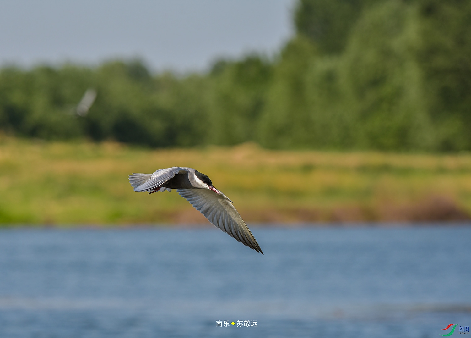 _DSC5704СС.jpg
