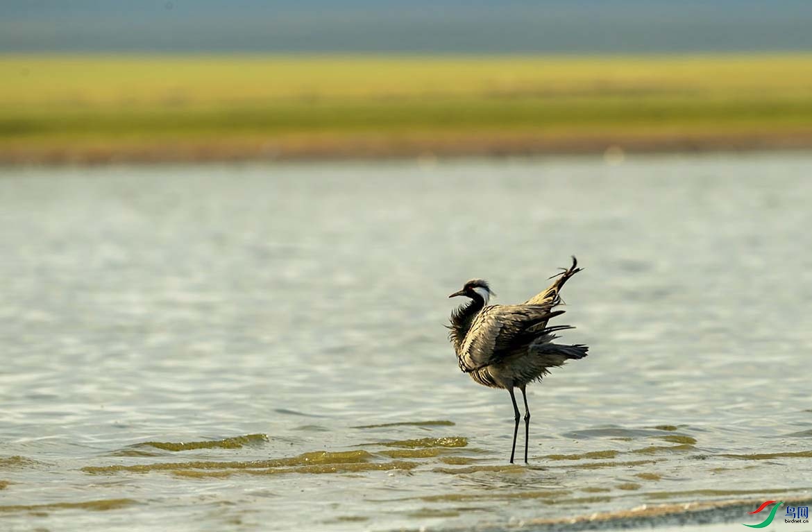 _DSC0050.jpg- - ���� (2).jpg