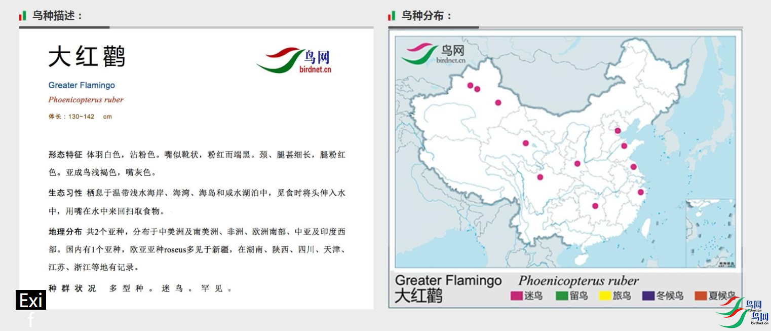 b433c6780cdb652ed1d0fb6db2d608f.png
